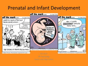 Prenatal and Infant Development