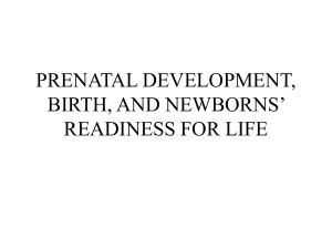 prenatal development, birth, and newborns' readiness for life