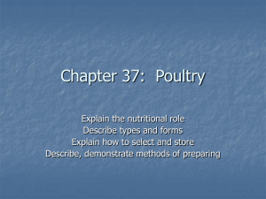 Chapter 31: Poultry