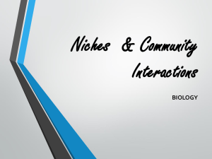 Niches & Community Interactions PPT