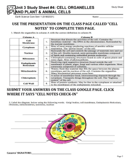 Cell Organelles Student Handout