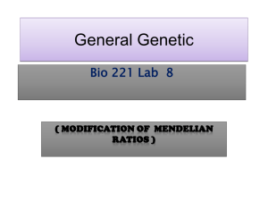 Genetic lab 8