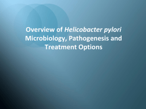 Helicobacter pylori Overview, Microbiology, and Resistance Patterns