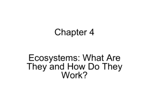 Chapter 3 - Environmental