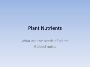 Plant Nutrients