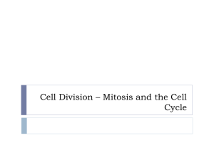 Cell Division * Mitosis and the Cell Cycle