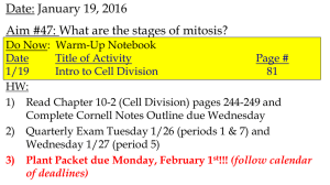 What are the stages of cell division?