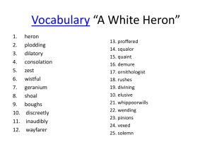 Vocabulary of “A White Heron”