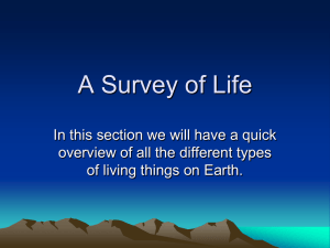 Survey of Life