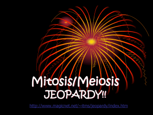 Mitosis/Meiosis Jeopardy