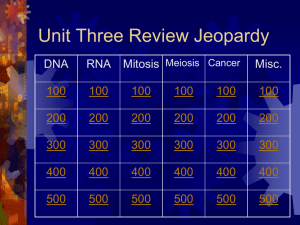 Mitosis, Meiosis, DNA Review Game