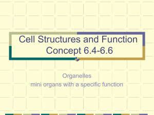 Cell Structures and Function Concept 6.4-6.6