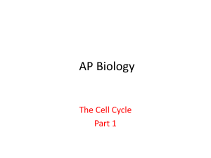 Cell Cycle part 1 - Fort Thomas Independent Schools