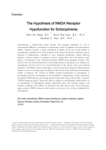 Overview The Hypothesis of NMDA Receptor Hypofunction for