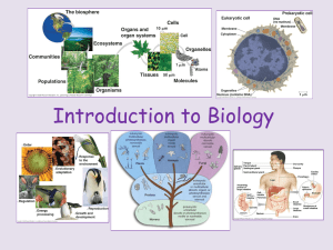 1 Intro to biology