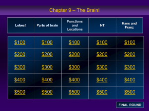 Jeopardy brain overview