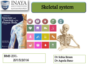 bones of skull - INAYA Medical College