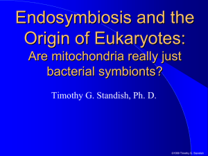 Endosymbiosis