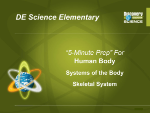 “5-Minute Prep” For Human Body Systems of the Body Skeletal System