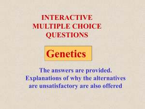 Interactive questions. Test 7: Genetics