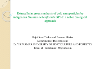 Extracellular green synthesis of gold nanoparticles by indigenous