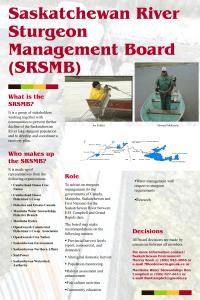 SRSMB PowerPoint Posters [ opens in new window ]
