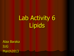 Lab Activity