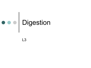 Digestion - GLLM Moodle 2
