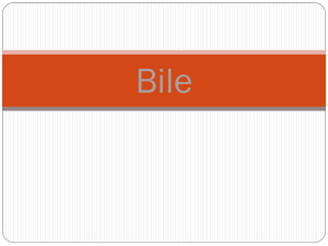 Bile