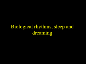 Biological rhythms, sleep and dreaming
