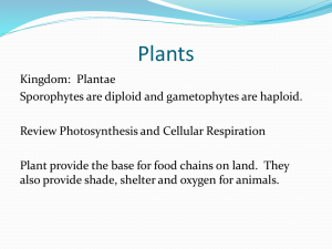 Plants - Fort Bend ISD