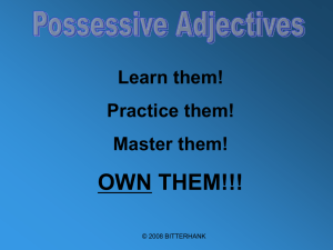 Possessive Adjective Power Point