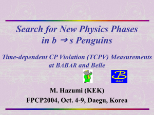 Search for New Physics Phases in b