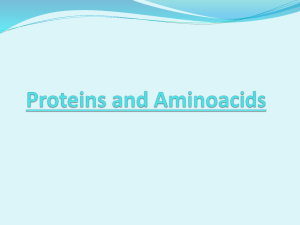 Proteins and Aminoacids