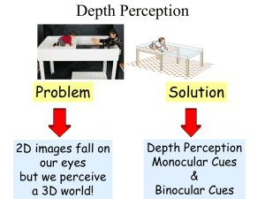 Motion Perception