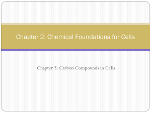 Chapter 2: Chemical Foundations for Cells