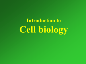 Cell biology