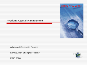 Working Capital Management (20)