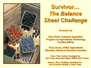 Survivor… The Balance Sheet Challenge