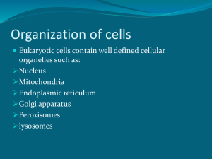 functions of cell organelles