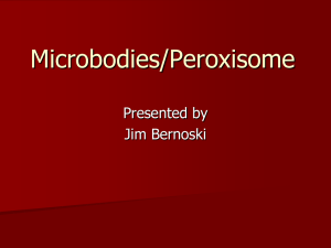 Microbodies/Peroxisome