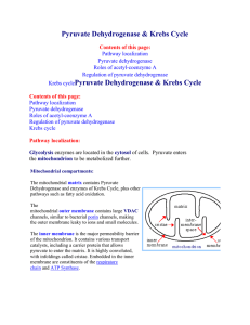 Pyruvate Dehydrogenase & Krebs Cycle