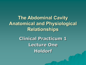 The Abdominal Cavity. Anatomical and