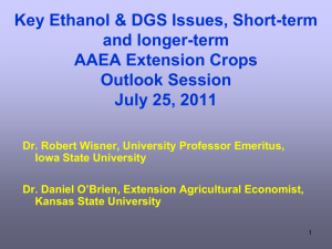 Key Ethanol & DDGS Issues Short