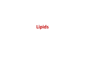 Lipids-1