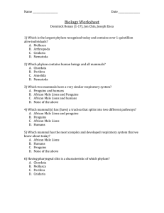 Click here for the worksheet!!
