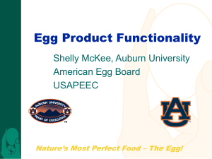 American Egg Board