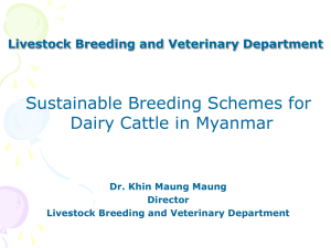 Sustainable Breeding Schemes for Dairy Cattle in Myanmar