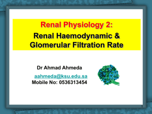 (Renal haemodynamic and GFR).