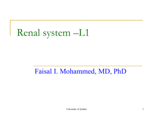 renal system-students-1